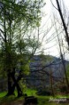 /album/camping-huinganes-/a1599705-287295338126693-6316234526981954232-o-jpg/