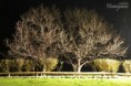 /album/galeria/a1266674-287294664793427-8596106288149172397-o-jpg1/