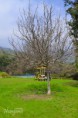 /album/galeria/a1618120-287295168126710-5469321205653858696-o-jpg1/