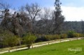 /album/galeria/a1962096-287294731460087-8925282351158335082-o-jpg1/